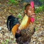 Judi Slot Online Jackpot Terbesar 2022 - LIGAFOX Link Slot Online Terbaru Dan Gampang Menang Hari Ini