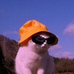 Slot88Win - Situs Judi Slot Terpercaya Via Gopay 10ribu Bebas Potongan 2022 | Slot88 Slot Judi Online Paling Murah